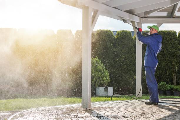 Best Graffiti Removal Services in Wilmer, TX