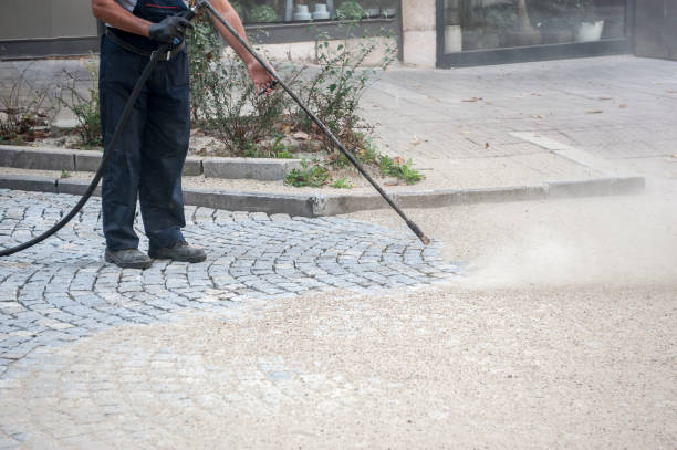 Best Gutter Cleaning and Brightening in Wilmer, TX