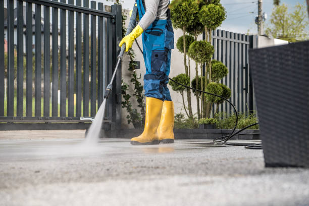 Best Driveway Cleaning and Restoration in Wilmer, TX